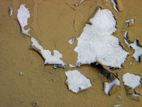 Problem Paint Solutions - picture of paint peeling