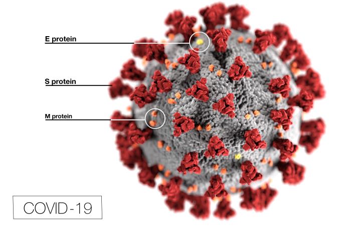 COVID-19 virus